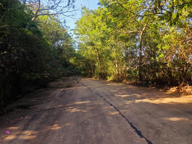 塘朗山郊野公园[绿平二路入口]骑行爬坡好地方