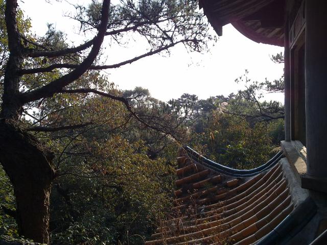 福州鼓山涌泉寺(2011.2.3)