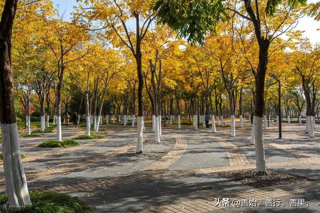 （要去快收藏起来）西安秋季值得去的地方 最佳时间和路线！