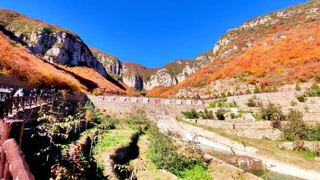 花最少的钱，看最美红叶，邢台佛照山，我们坐火车公交来啦