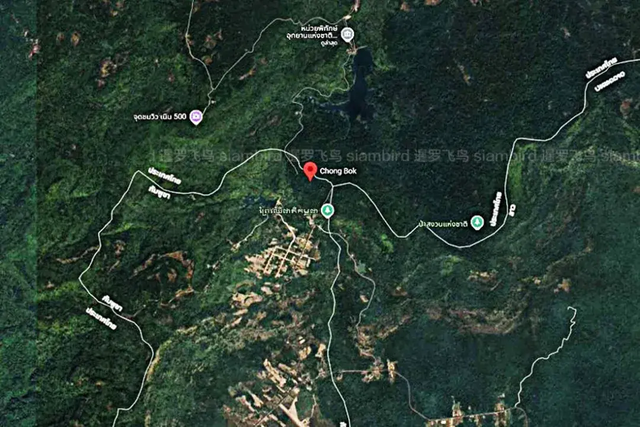 洪森彻底颜面扫地！亲儿子下令抓电诈，结果真印证了佩通坦的话！