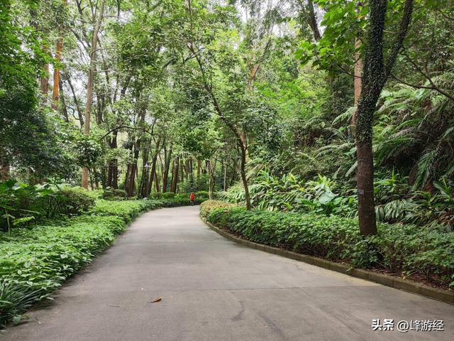 徒步笔架山，笔冠峰俯瞰深圳主城区，几十年的发展让人惊叹