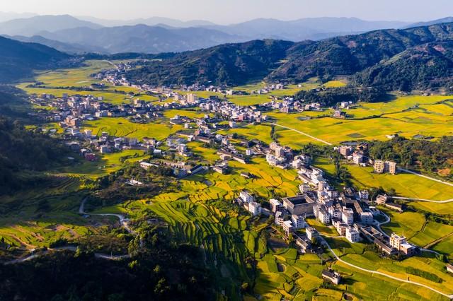 福建深秋封神路线！红叶燃山、银杏铺金，古寺藏着最暖秋韵！