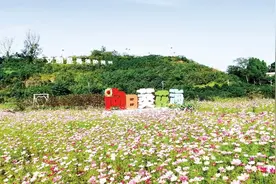 风起扬帆，龙马精神丨实施精神共富工程，建设泸州共同富裕试验区图片