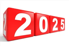 2025是乙巳年，老人说“九人分饼，四日得辛，三屠两猪”啥意思？图片