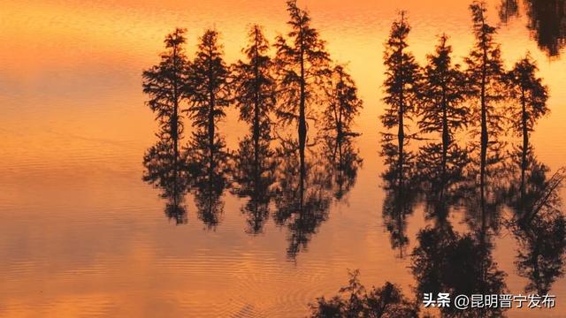 滇池南岸 浮光跃金