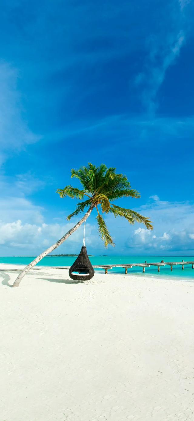 手机壁纸|海景