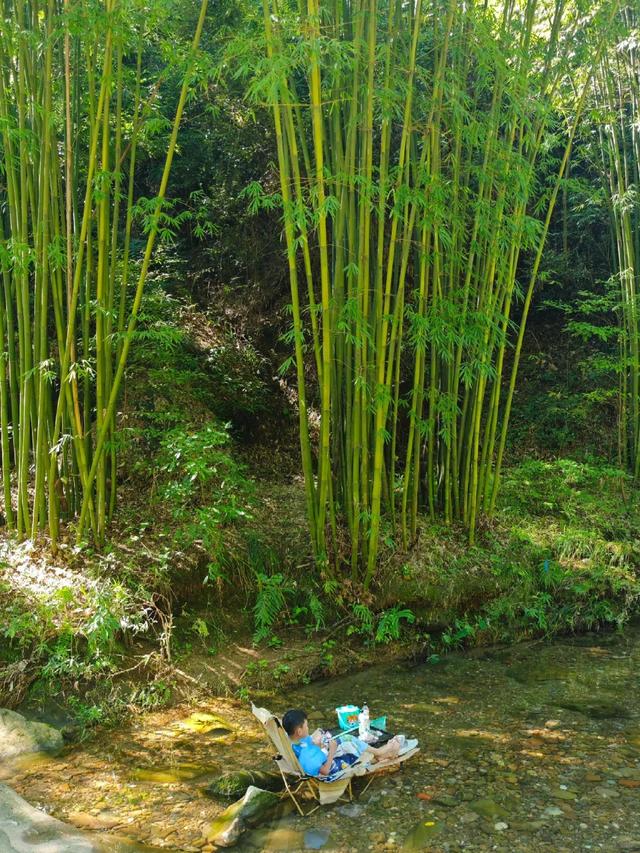 成都1h车程→千年古刹前踩水、捉螃蟹、喂梅花鹿，无门票！