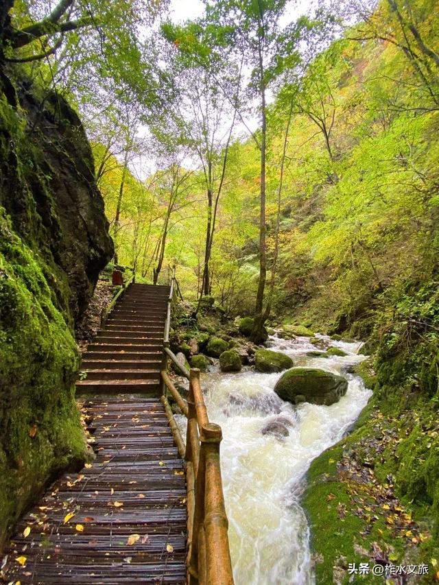 双节同庆·畅游柞水-生态探幽·红叶秘境之旅