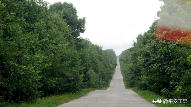 乌苏里江畔随行笔记