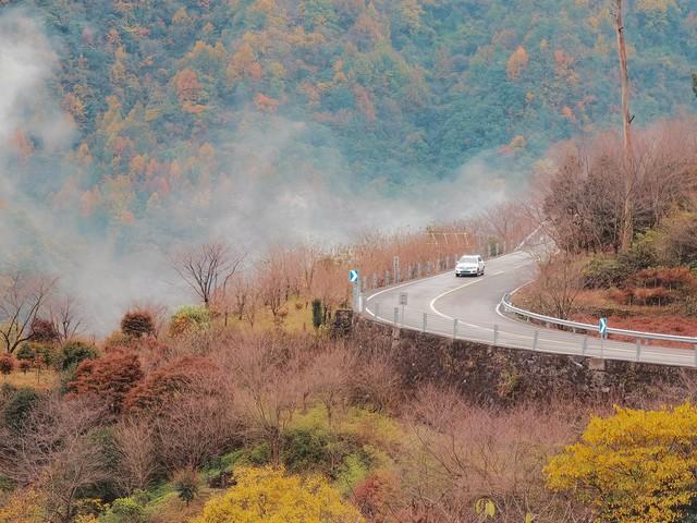 自驾四明山，邂逅江南醉美秋色：2日漫游云海、古村与童话森林