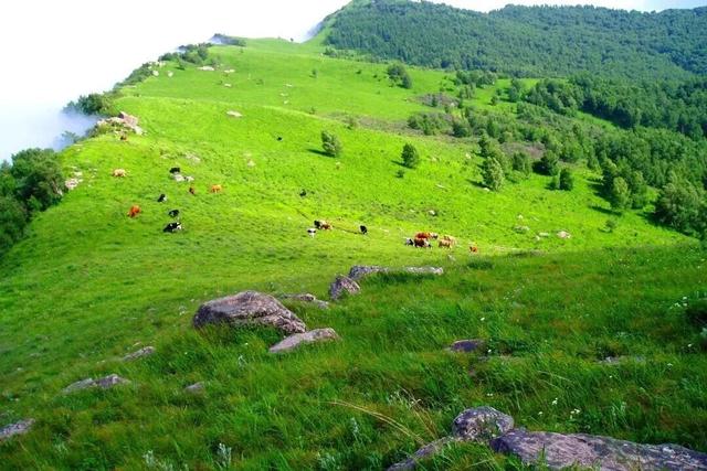 许昌⇄保定，双向奔赴