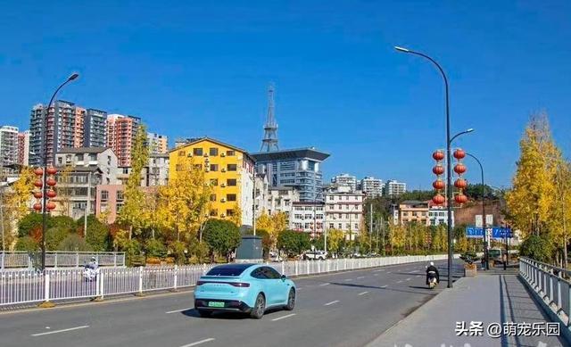 初冬恩施悄然变美，银杏枫树争相斗艳，我被这诗意时光深深震撼