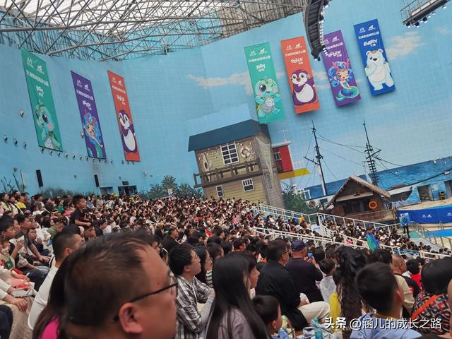 最新天津极地海洋馆一日游攻略——亲测实用!所有演出都可看完!