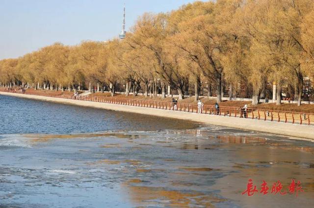 天工挥毫！长春今冬奇幻冰面盛景已上线