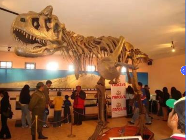 南美玻利维亚出行记