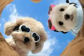 今日文案 | 收到"红包或转账"时,请这样大大方方高情商幽默回复.图片