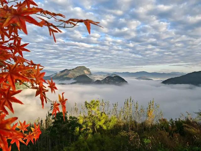 在两当，春天就要Color Walk→