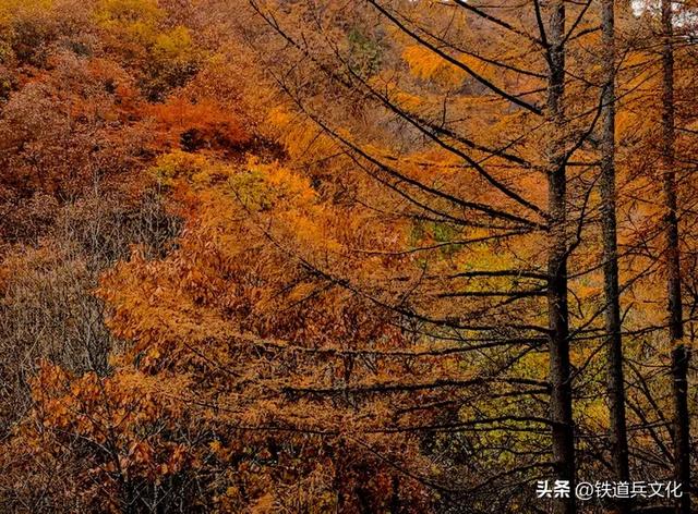 车过神农架【原创】作者：原铁十师陶玉和