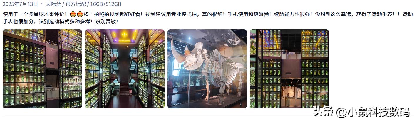 OPPO Find X8s+ 信号表现 荣耀 Magic7 Pro 信号优化 华为 Pura 80 Pro 信号稳定_手机信号强的是哪款