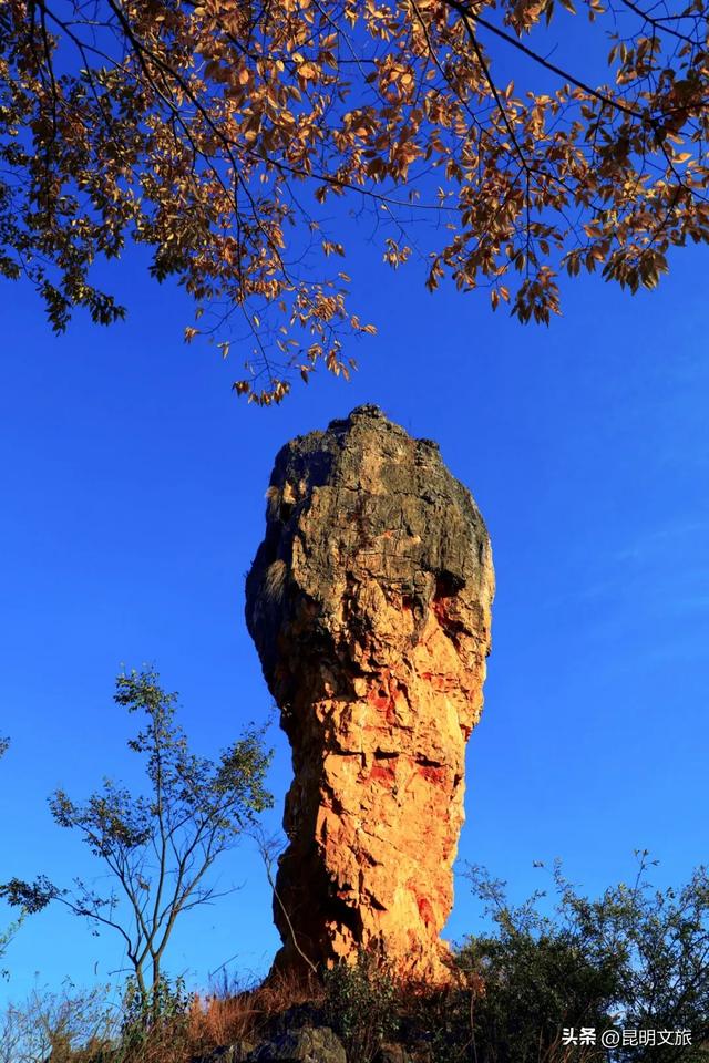 初冬氛围感出片计划,走起!昆明这份打卡攻略速速收藏→