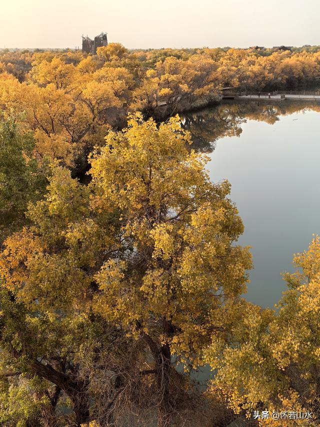 2025环南疆沙漠铁路背包自由行日记(6)---游览巴楚红海胡杨林景区