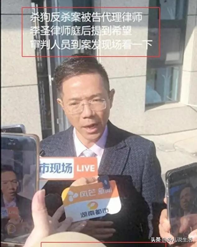 狗主人赵某晖态度大反转：曾威胁民警的她，竟然低头了！