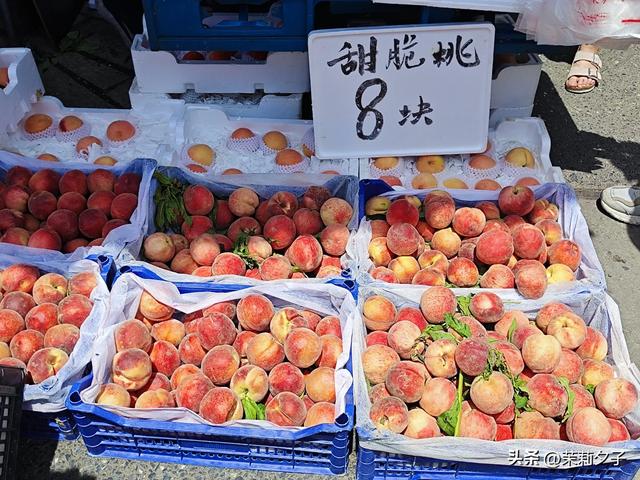 杭州旅游攻略看展逛博物馆老街菜市场换个城市走走停停文艺风