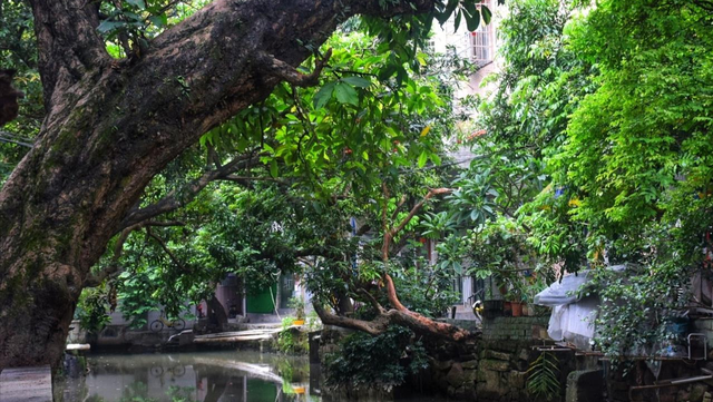 广州城里的世外桃源！百蚝壳屋+古桥祠堂，避人潮享惬意慢时光