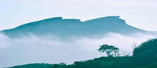 国家级榜单！潍坊这条路线上榜！