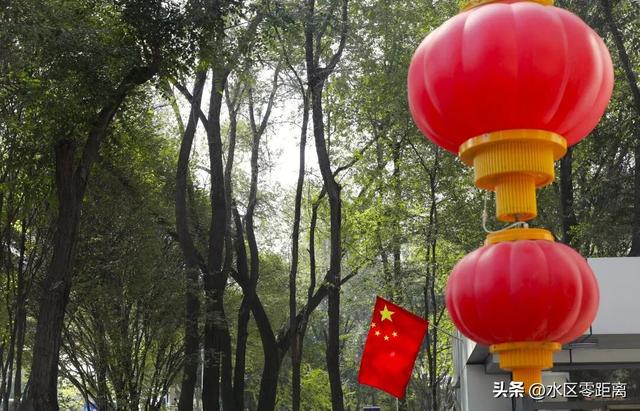 乌鲁木齐市水磨沟区——快来打卡！水磨沟街头“庆生花景”已上线，一起邂逅秋日里的缤纷与生机