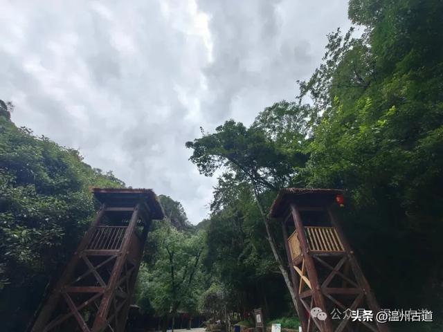 温州这个以畲族始祖命名的4A级景区，秘藏着一座“生物王国”！