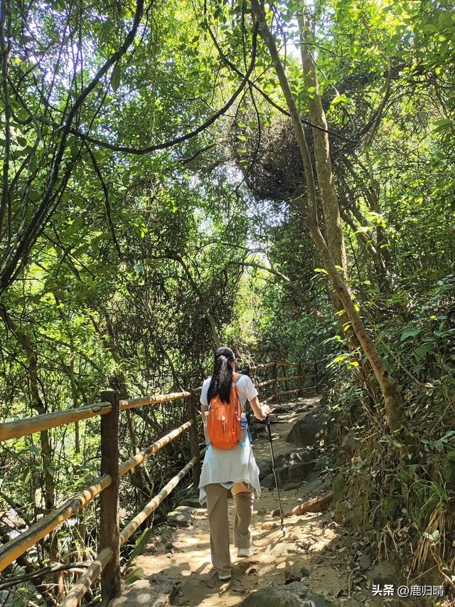 深圳马峦山看瀑布攻略（夏天避暑必去榜）
