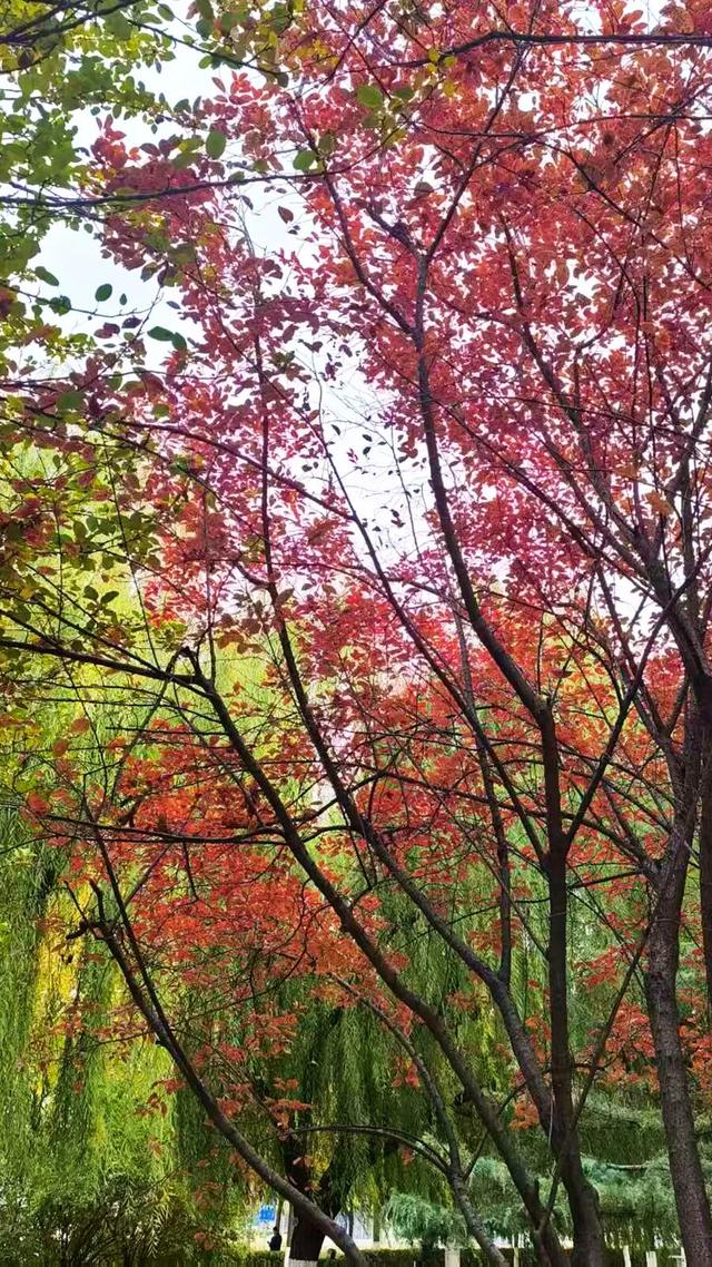 这么近那么美~猜猜这是哪？