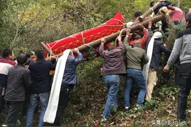 农村老人说“坟墓长有三树，子孙添财又添福”，指哪3种树？图片