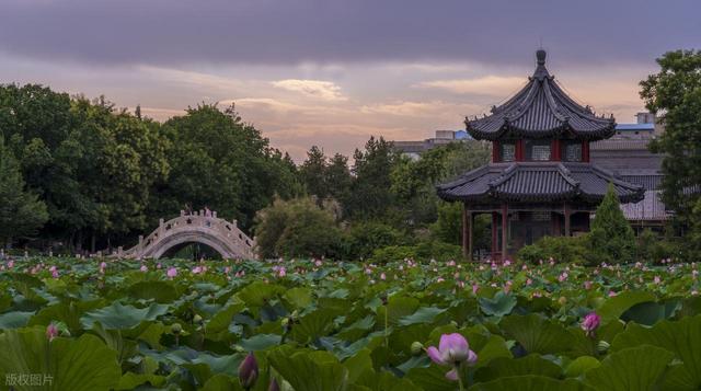 北京没想到	，天津没想到，保定这回彻底火出圈！