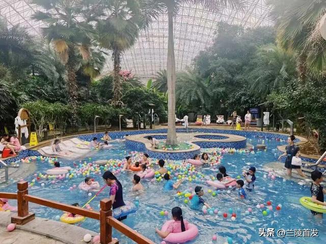 好客山东好品山东｜临沂遛娃去哪儿？初冬攻略收藏就出发～