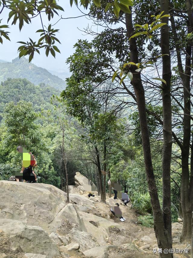 爬山，要量力而行，安全第一，爬歌乐山911更需如此