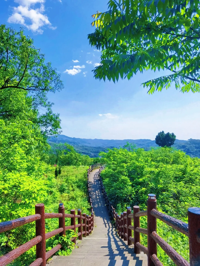 成都市区龙泉山徒步限定奖牌，公交直达0费用！