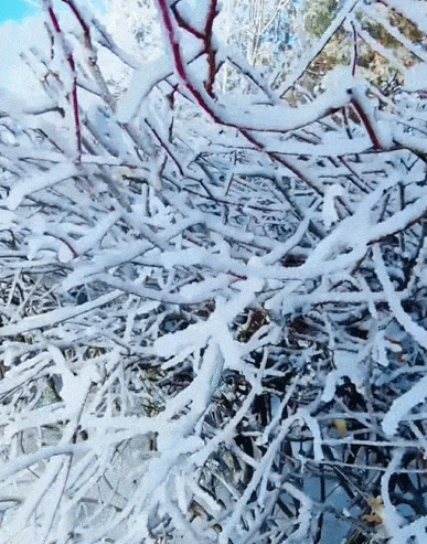 12月20日迎客，“开”在市中心！