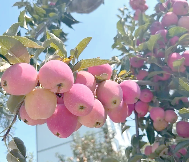 冷门宝藏承德县：冰川石海、皇家汤泉、苹果采摘任你玩。游河北