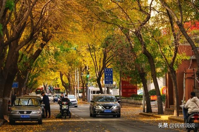 “狗都不理”的天津，看到这些知道我又错了！