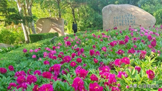 诺敏河畔的绿色明珠：绥棱林业局生态文化旅游区漫步