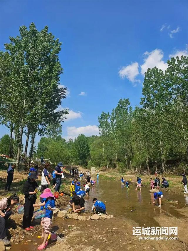 38.9万游客打卡！夏县泗交缘何成为今夏“顶流”避暑地？
