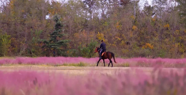 山景正宜人！青岛这里的山，已美到Next level