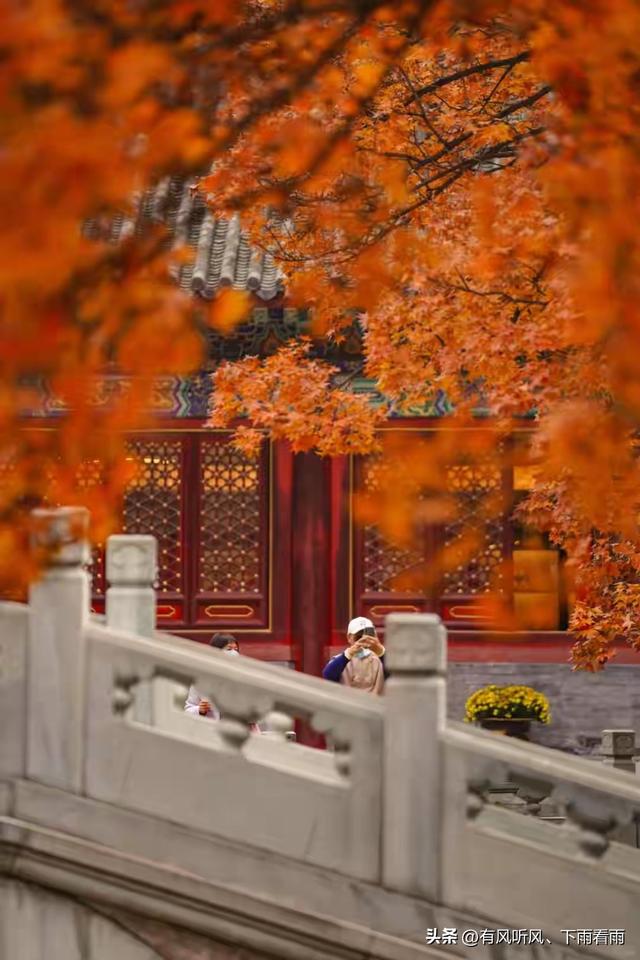 秋染山河