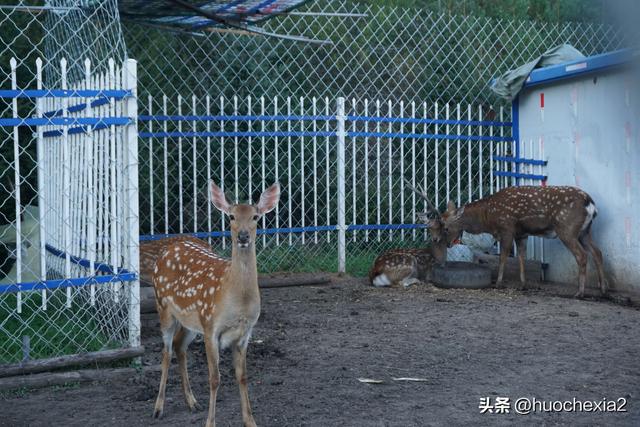 3200公里东北行（D2）——伊春北山公园