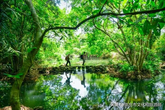 广西崇左伏那秘境生态旅游区正式开放 探索国家自然保护区生态永续与乡村振兴协同发展新路径