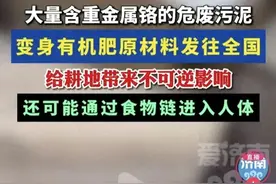 毫无底线！重金属铬污泥冒充有机肥已发往全国各地！图片