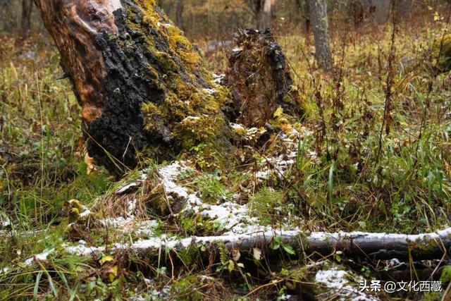 来西藏，一定要选冬天！人间仙境，东方瑞士，我不允许你错过！